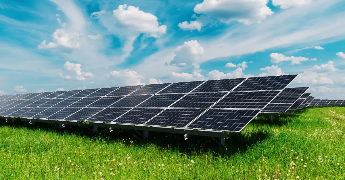 Napelem pályázatból is megvalósítható napelemek egy zöld rét közepén.